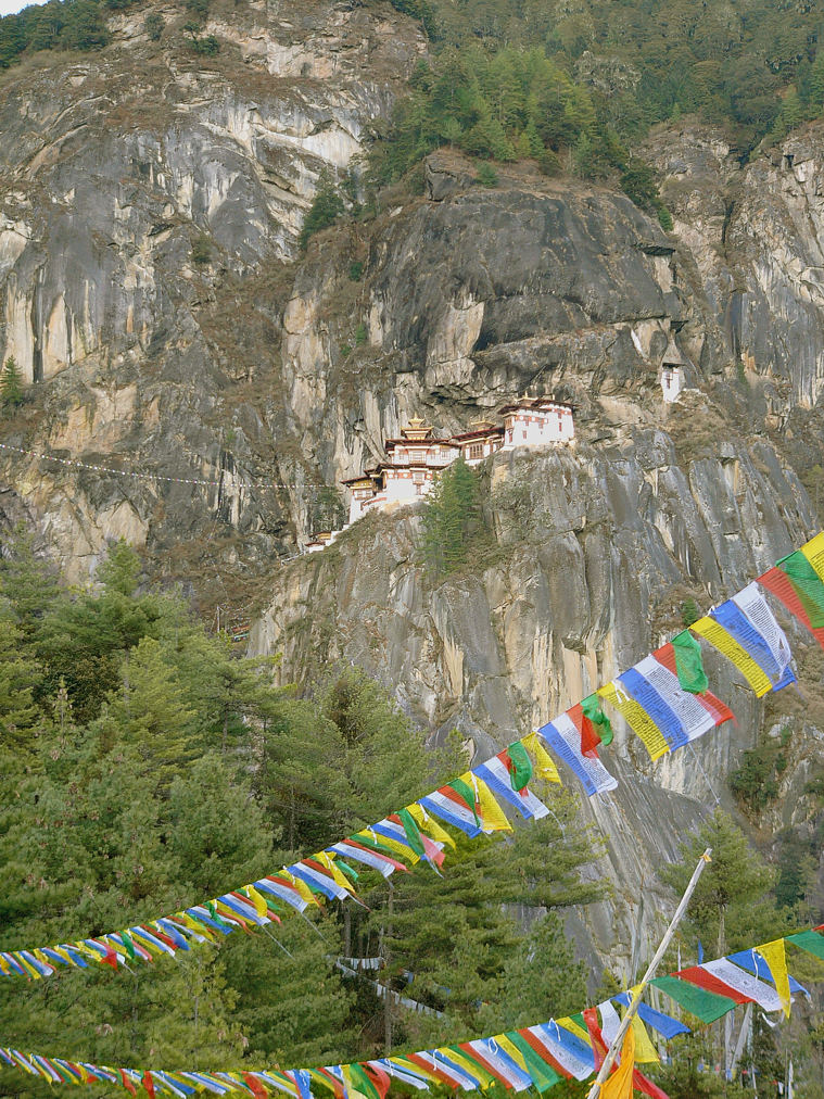Bhutan_Tiigri_Pesa_(17'12'2006)