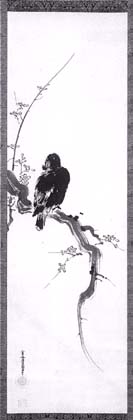 Unkoku Toji Mynah-lind